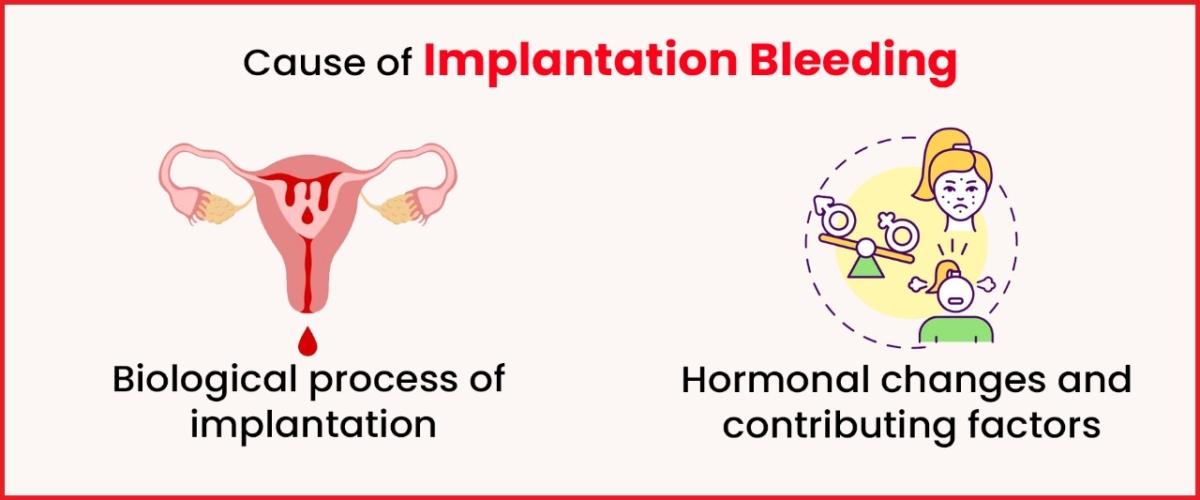 Causes of Implantation Bleeding