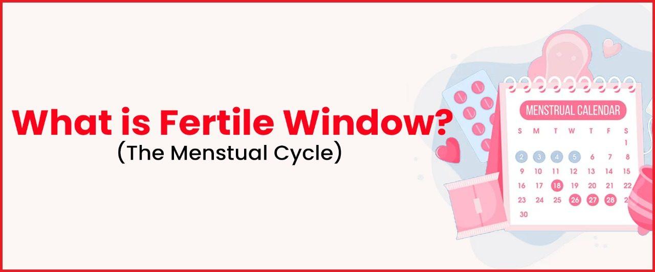 Fertile Window