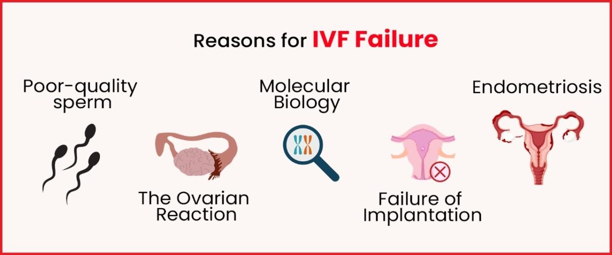 IVF Failure Reasons